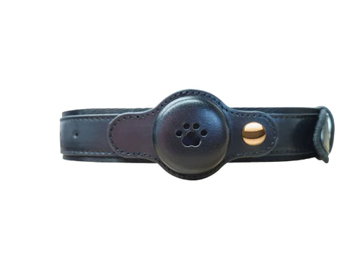 Pawsy Dog GPS Tracker