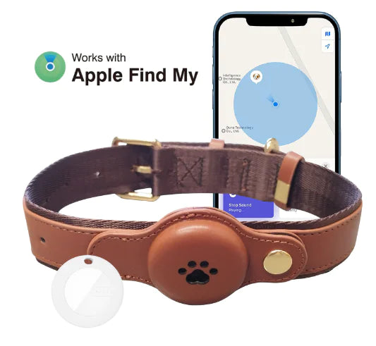 Pawsy Dog GPS Tracker