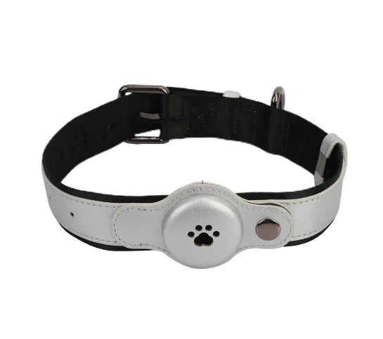 Pawsy Dog GPS Tracker